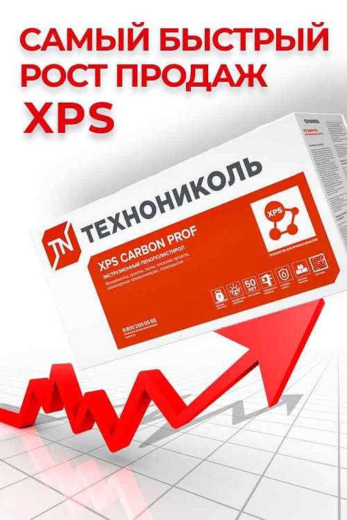 Диплом ТЕХНОНИКОЛЬ за самый быстрый рост продаж